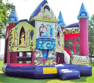 5_n1_3D_Disney_Castle_in_a_Park.png