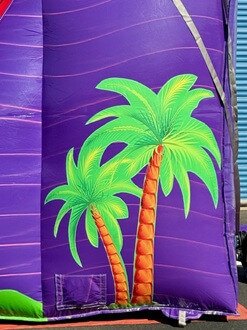 https://ajassets.nyc3.cdn.digitaloceanspaces.com/AJ-COM/products/thumbs/tiny_800_356_Shasta_Aloha_Palm_closeup.jpg