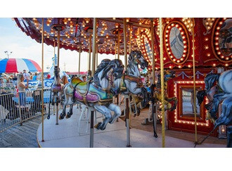 https://ajassets.nyc3.cdn.digitaloceanspaces.com/AJ-COM/products/thumbs/tiny_800_356_Sonoma_carousel_dec.jpg
